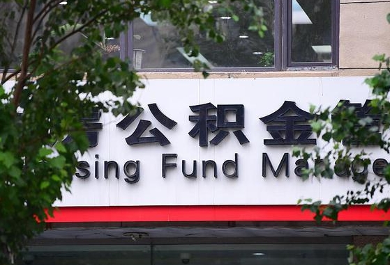 新余公积金离职封存是什么意思（公积金 离职 封存）